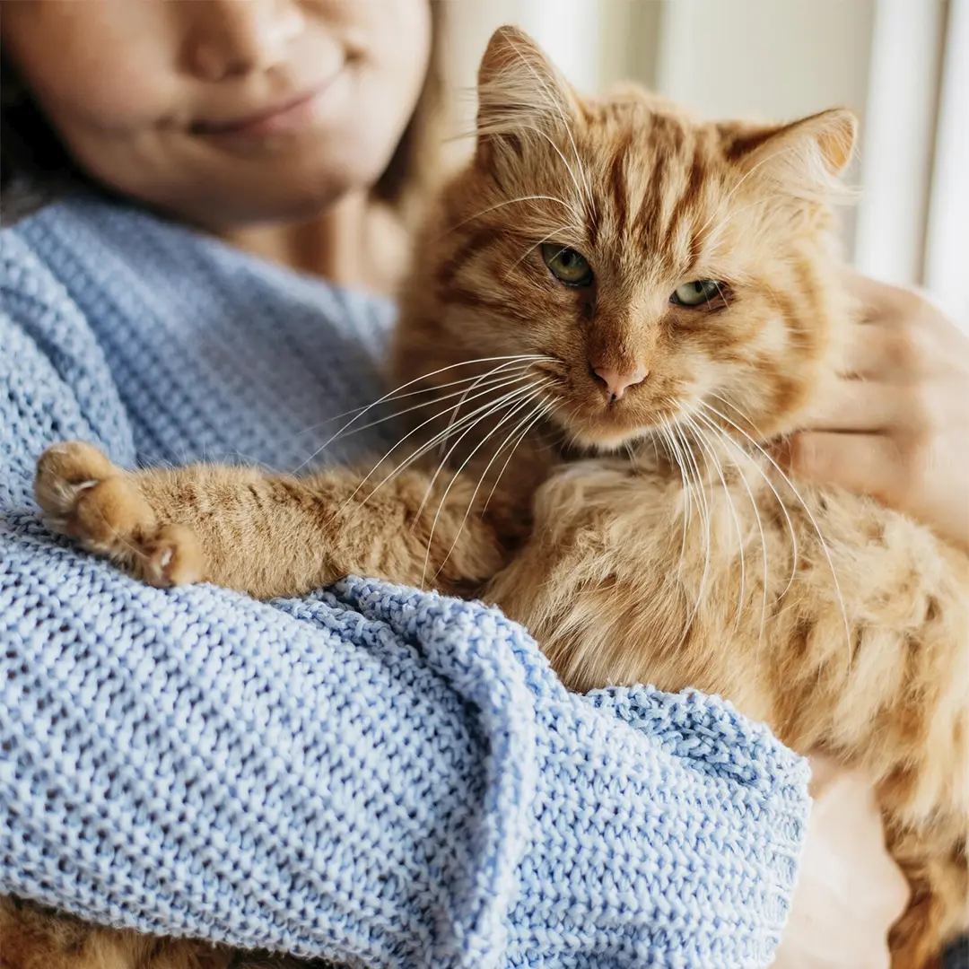 brightwaters-at-redhawk-cat