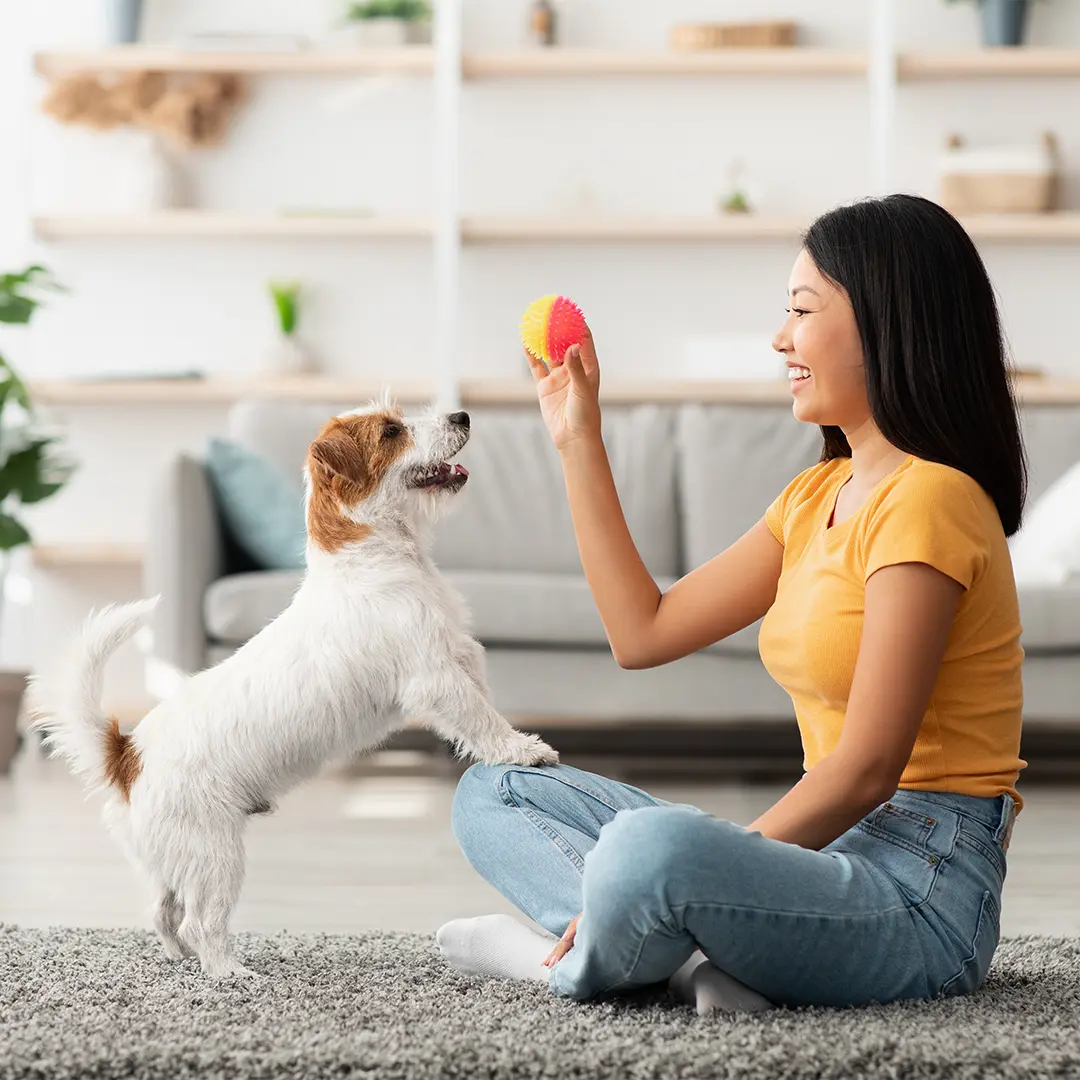 brightwaters-at-redhawk-dog